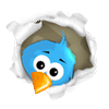 twit